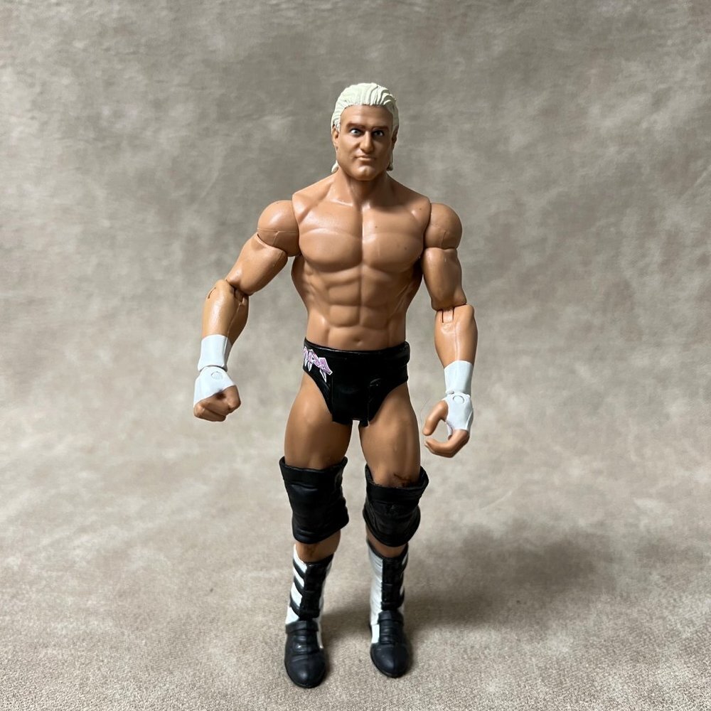 WWE Dolph Ziggler Action Figure, Wrester 2011 Mattel